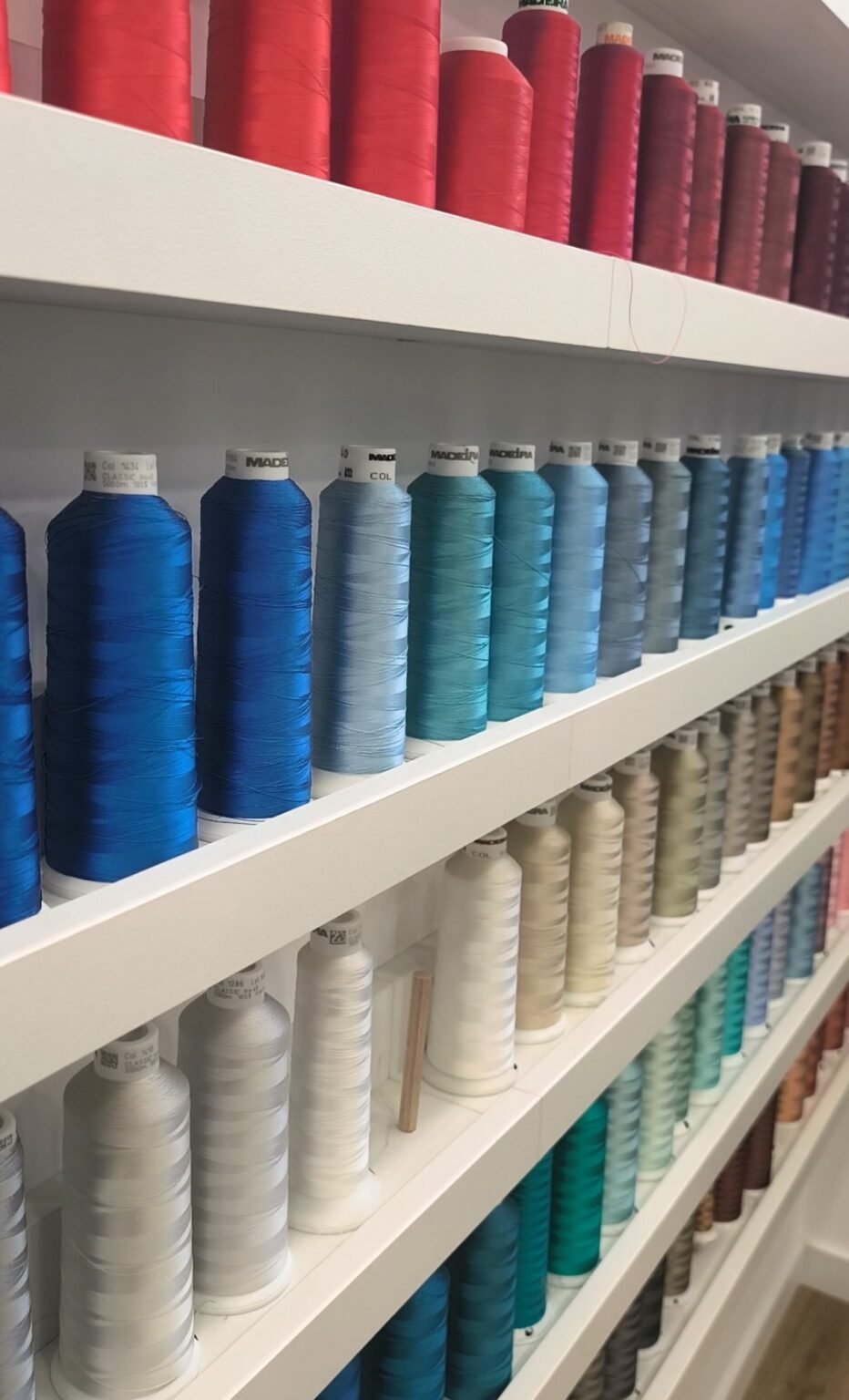 Screenshot 2026 02 14 16 43 38 440 com.google.android.apps.photos~2